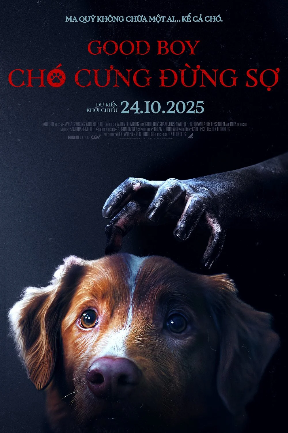 Chó Cưng Đừng Sợ Chó Cưng Đừng Sợ